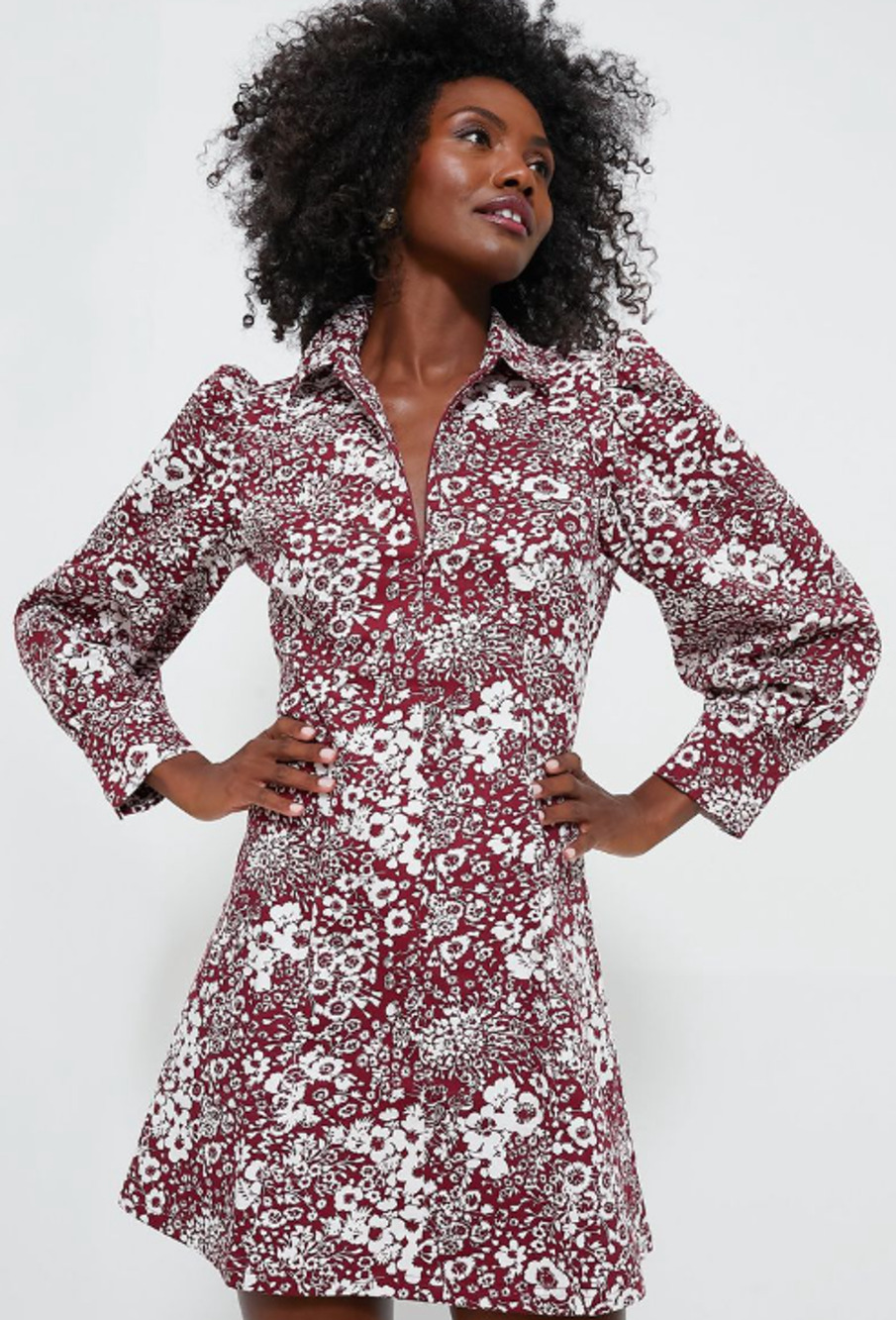 Tuckernuck Hyacynth House Maroon Bagonia Floral Front Zip Mini Dress Large
